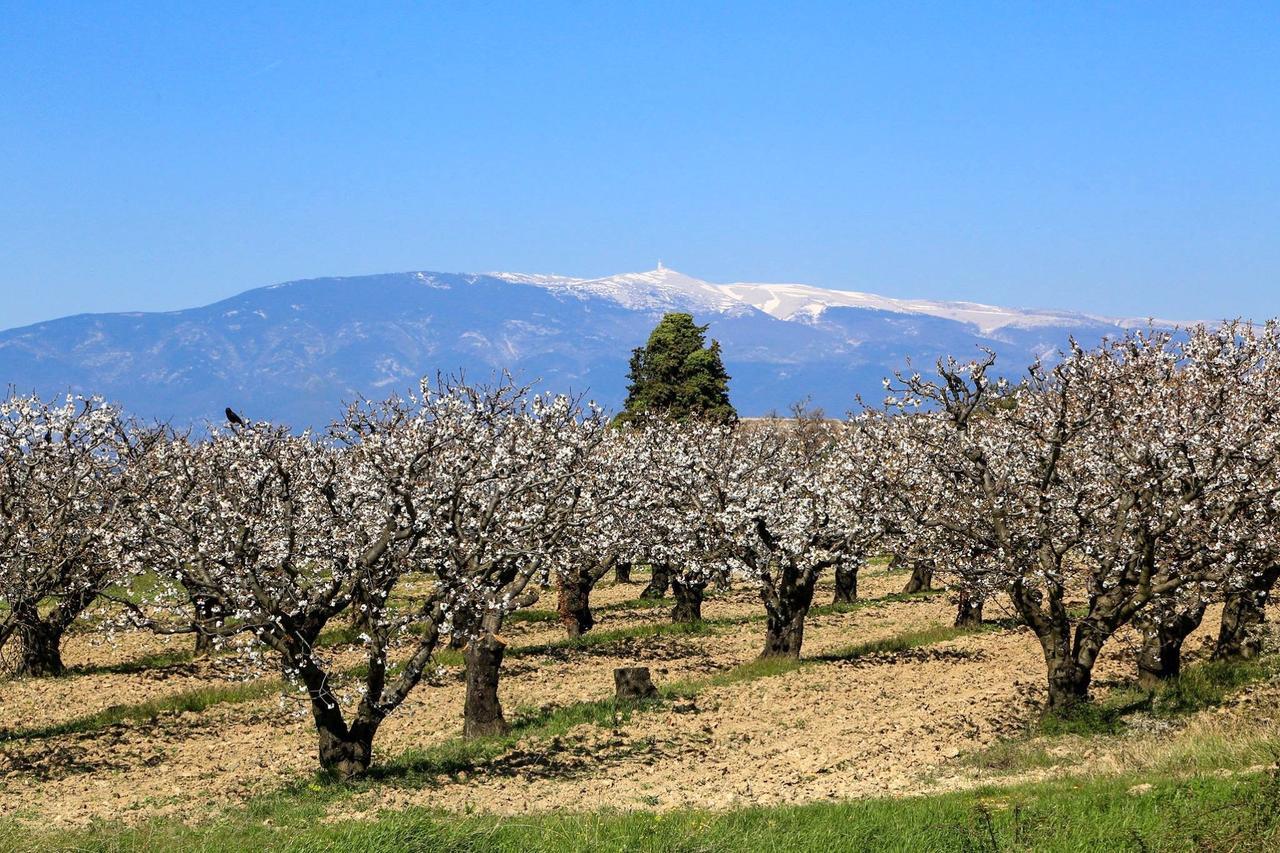 Une Sieste En Luberon Бонньё Экстерьер фото